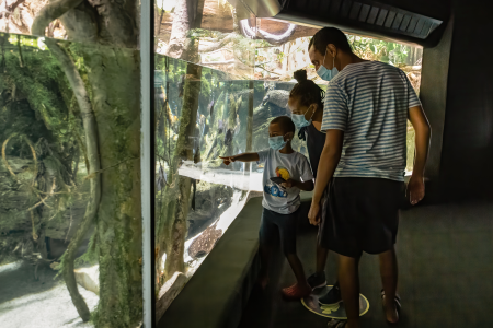baltimore aquarium online tour