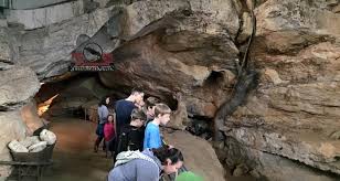 Tennessee Field Trips - Statewide | Field Trip Directory