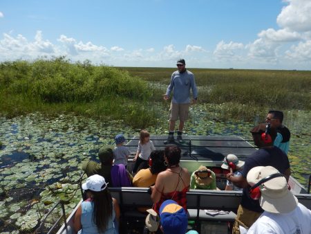 everglades swamp tours.com